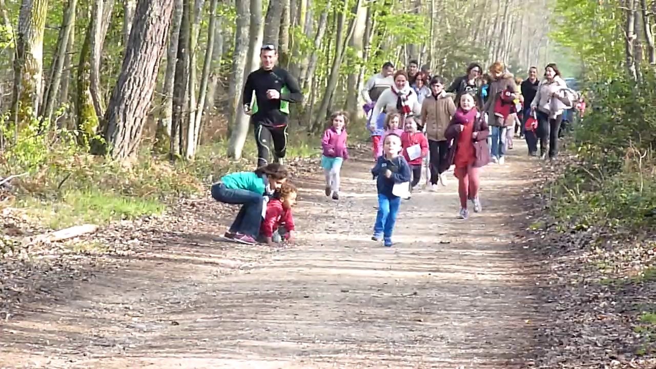 Cross petite section notre dame