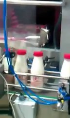 Devpak Makina Tanıtım Filmi 6