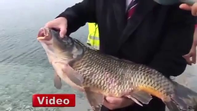 Denize Sazan Bırakarak Tarihe Geçmek