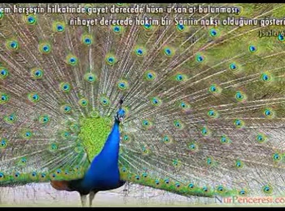 HATME İ HACEGAN_4