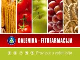 Zaštita jabuke, Galenika Fitofarmacija_ 344 _ 19.04.2014.