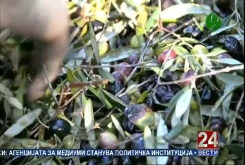 Второ мислење 19-04-2014