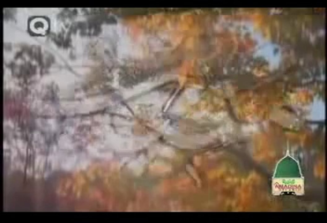 Beautiful 99 Names Of Prophet Muhammad (Peace Be Upon him)