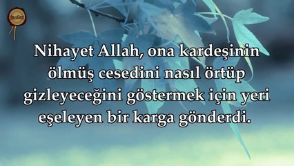 5 Maide Suresi - Nasser al Qatami