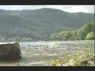 Fannies Out Rowing - Chewin The Fat