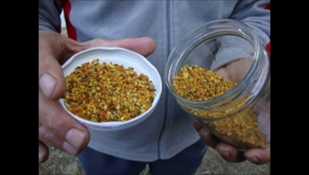 İnandırmanın Zorluğu Budur..!Mutlaka İzleyin. Küt, Küt - GÜLBEN Eşliğinda