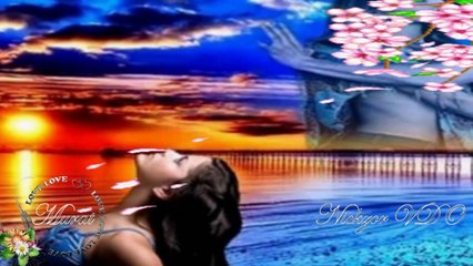 Sibel Can - Yemenimde Hare Var