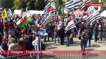 Nantes. Entre 6.000 et 10.000 manifestants pour la réunification