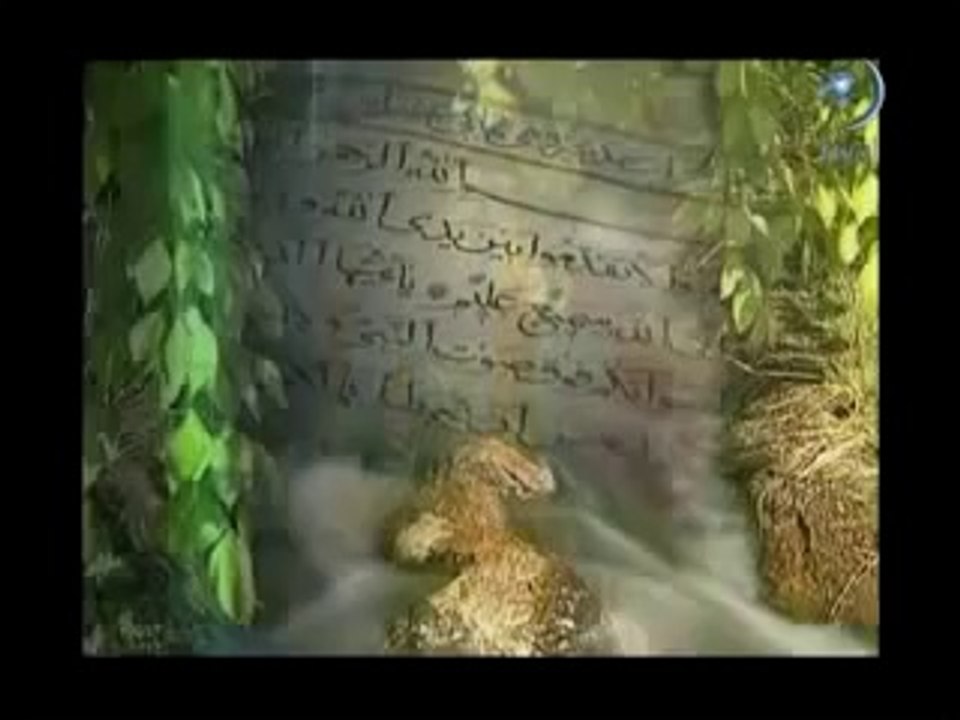 Kutlu Doğum Diyanet