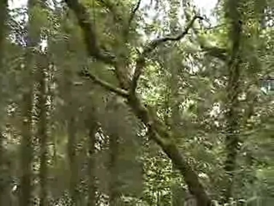 Boards of canada - sunshine recorder