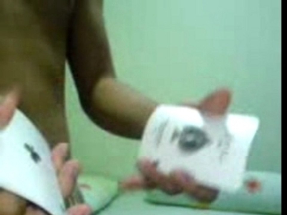 Starry Eyed Surprise