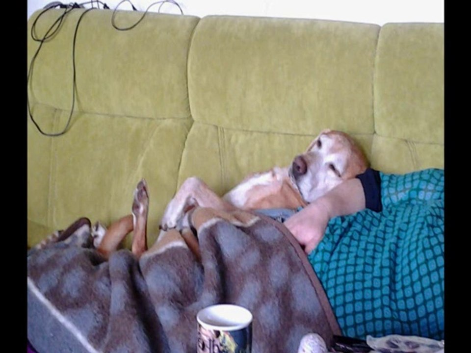 Mittagsschlaf, wer stört?!