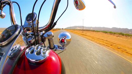 Gold Dust by Bird Eye Visions