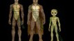 Reptiles humanoïdes venus de l'espace ou résultant d'une évolution parallèle