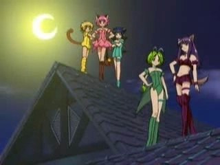 Tokyo Mew Mew