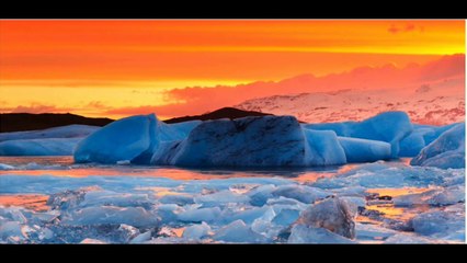 Awami response to Talibani Dog and their supporters