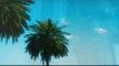 Jim Jones ft Trey Songs Summer Wit Miami