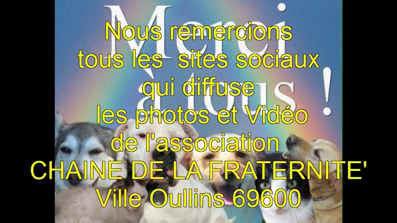 Tournage Vidéo  Ville  Oullins 18 04 2014  avec Biscotte  4 ans