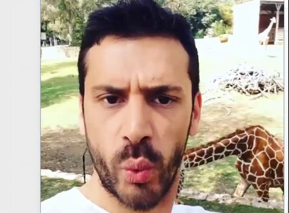 סלפי ג'ירפה אלירז שדה באינסטגרם