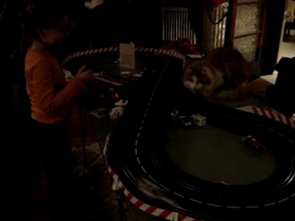 le chat pete les plombs