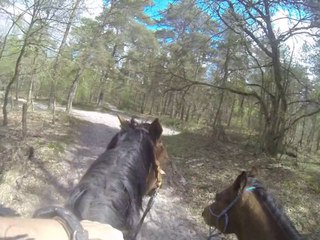 18.04.2014.e.gege.tenebra.dipti