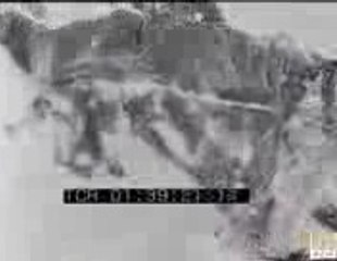 sarikamis kar altinda