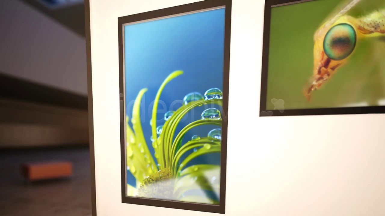Photo Show Room - After Effects Template