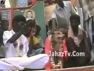 Indian Boy Marriage With A Dog