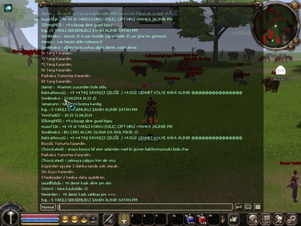 damsiz