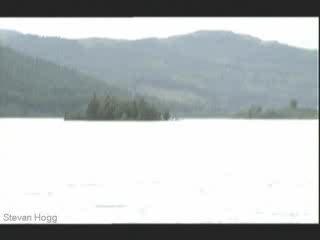 Fannies Take A Swim - Chewin The Fat