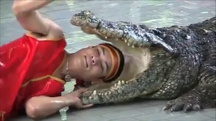 Pattaya - Crocodile