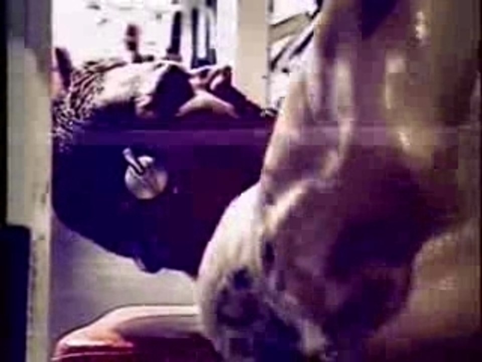 wwe, batista ,antiga