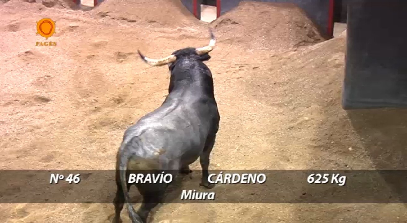 SORTEO 19 ABRIL 2014