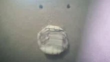 Noce que tiene La coca