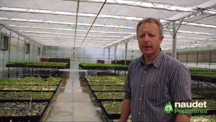 Préparation des Plants Truffiers