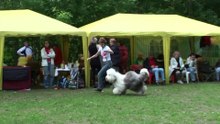 Bijou at the OES National Club Championship-2010