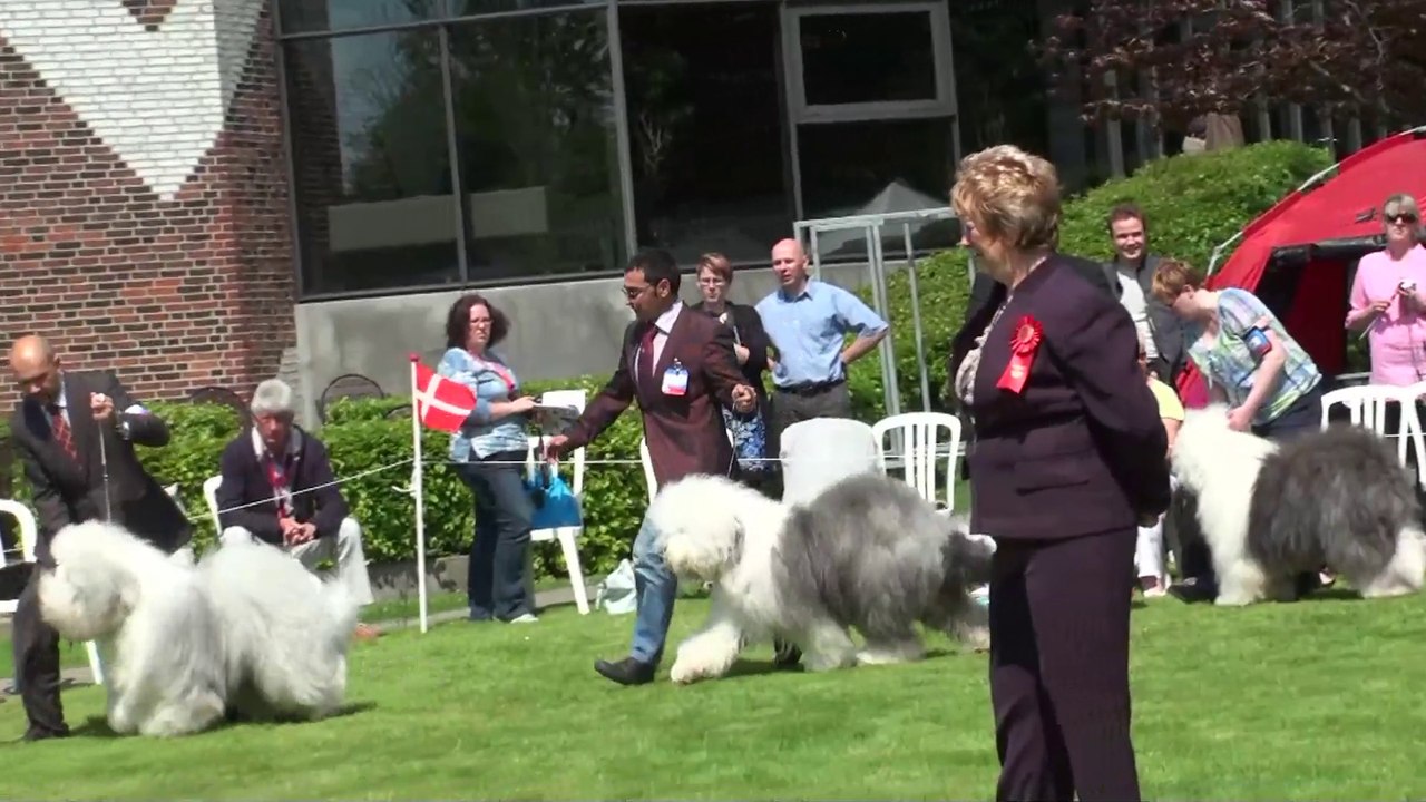 Nikolas Kanales& Aryakas Filippos at the Euro OES-2010.