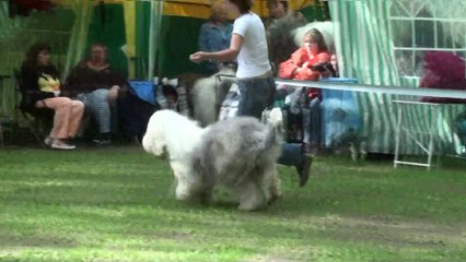 Venus at the OES National Club Championship-2010