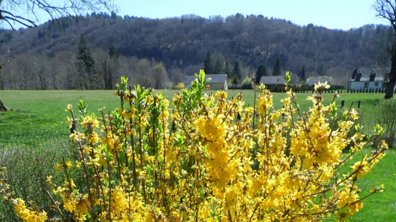 UNE TRES BELLE MAISON QUI ALLIE CHARME DU BOIS ET ARCHITECTURE CONTEMPORRAINE