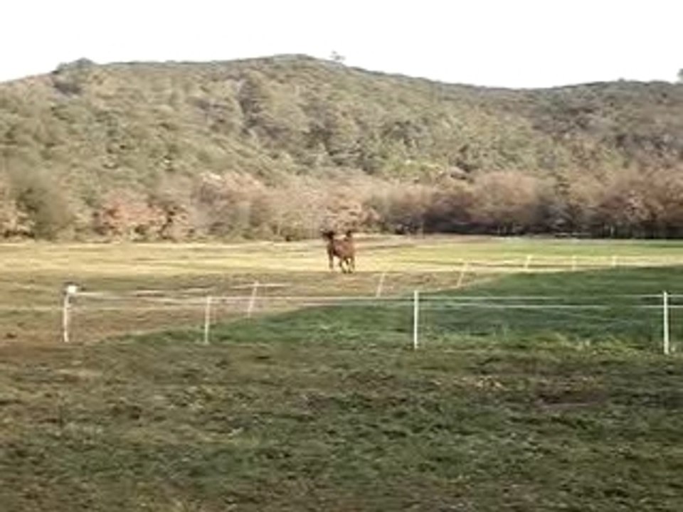 MOV05031