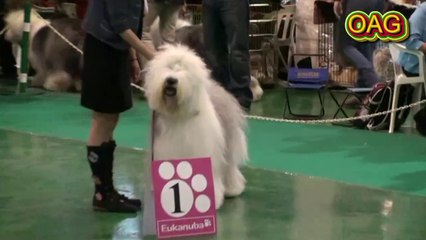 SIBERIA - XXI CENTURY