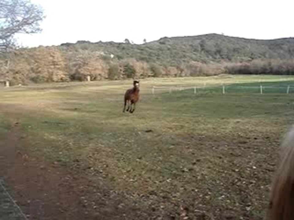 MOV05036