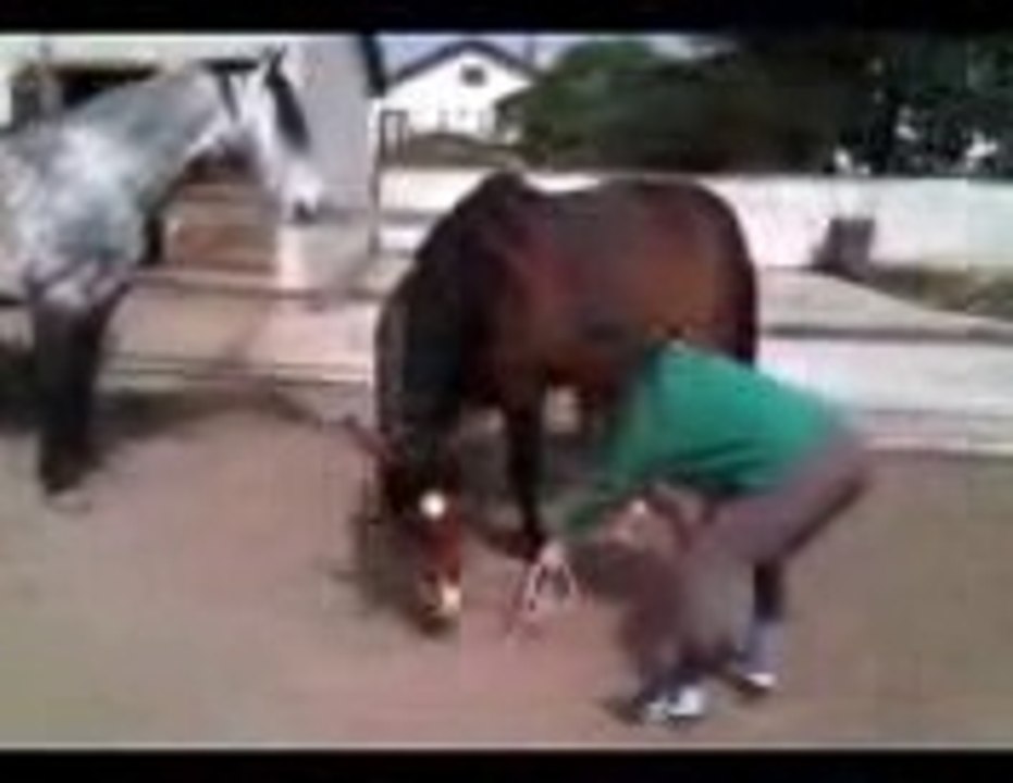 Ulkhan à genoux !