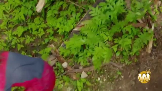 [MTB] Freeride Downhill 2013