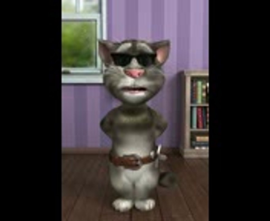 Talking Tom Swearing In Urdu-Punjabi (small) - video Dailymotion