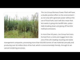 Leo Group | Renewable Production