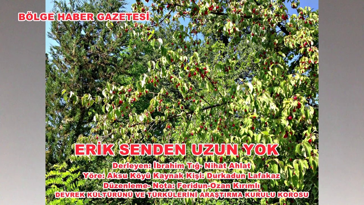 ERİK SENDEN UZUN YOK-DEVREK