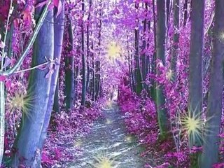 Violin romance Beethoven