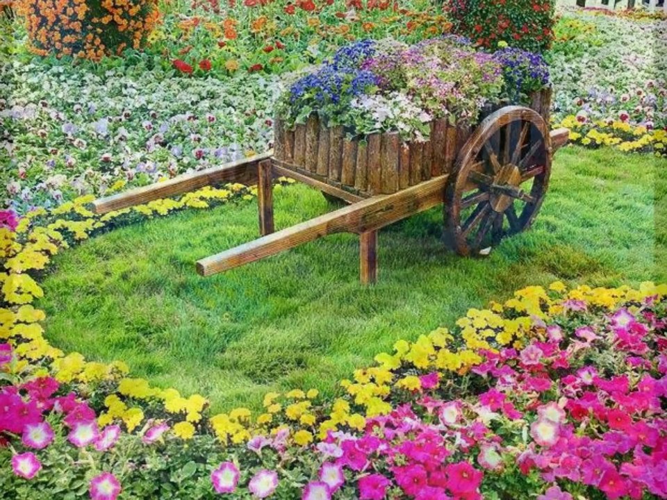 DOĞA CANDIR