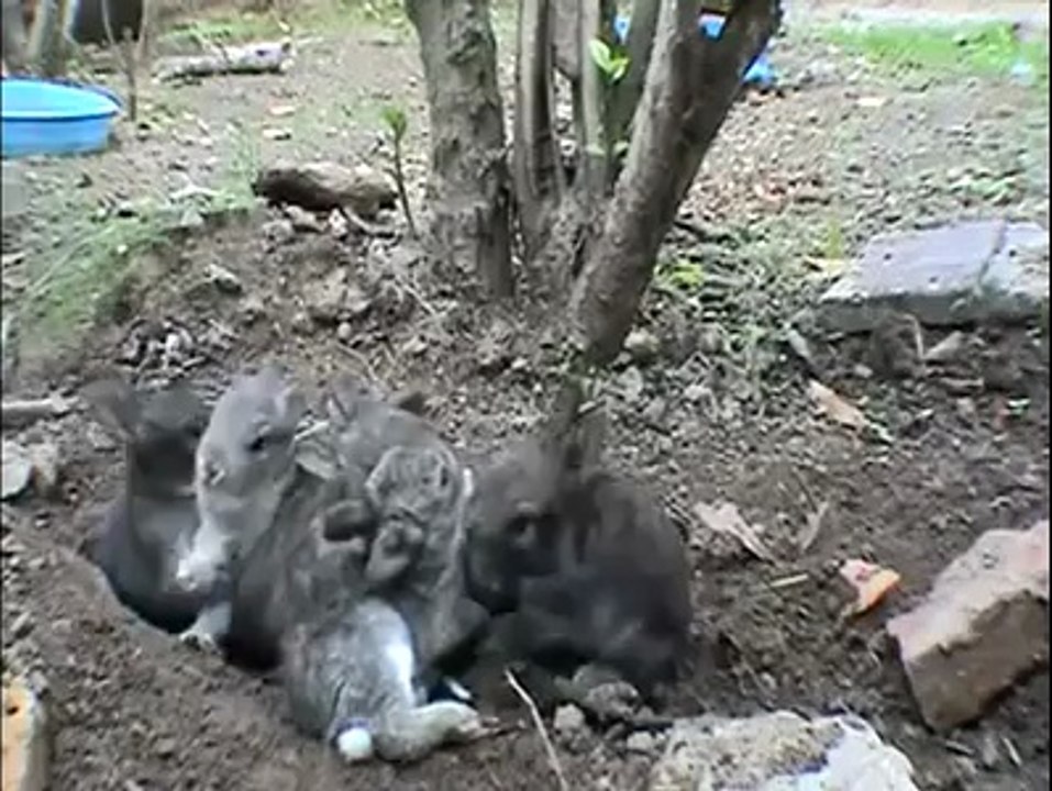 Annelik Duygusu Her zaman Aynı